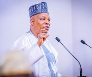 Over $400m investment commitments secured for solar panel assembly, local component production -Shettima