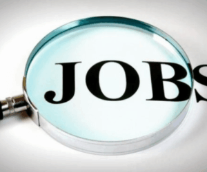 Six most used job apps boosting Nigeria’s digital job market