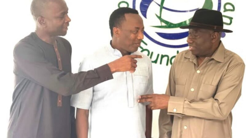 BREAKING: Sowore Meets Jonathan For Support Over Nnamdi Kanu, Ex-President Promises To Engage Tinubu On IPOB Leader’s Case