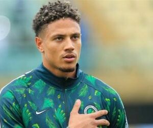 Serie A: Okoye set to return for club action
