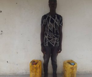 Troops arrest logistics and drug suppliers to terrorists in Borno