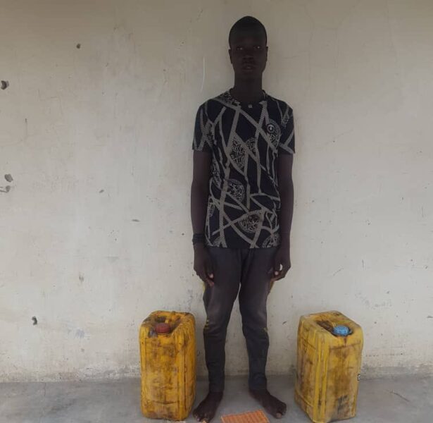 Troops arrest logistics and drug suppliers to terrorists in Borno