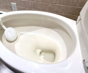 Withings U-Scan brought my urine analysis home and I need a drink – of water