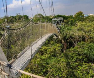 Aviation-Driven Tourism Adds $454 Million to Nigeria’s Economy | Tech | Business