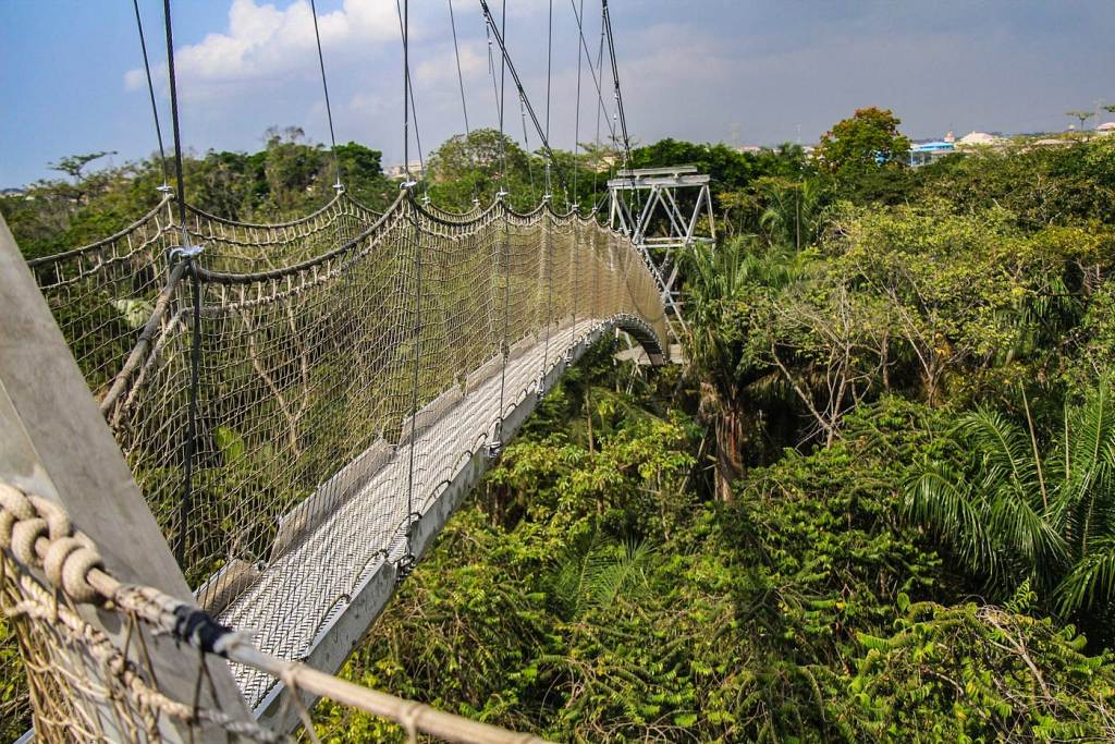 Aviation-Driven Tourism Adds $454 Million to Nigeria’s Economy | Tech | Business