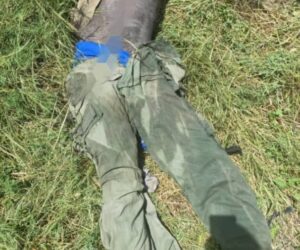 Troops repel ISWAP attack in Borno, neutralise two terrorists