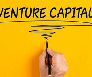 Homegrown VCs fuel fresh capital inflows into startups