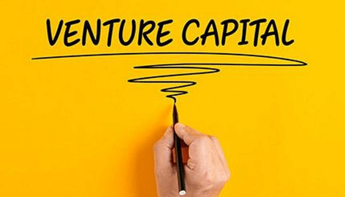 Homegrown VCs fuel fresh capital inflows into startups