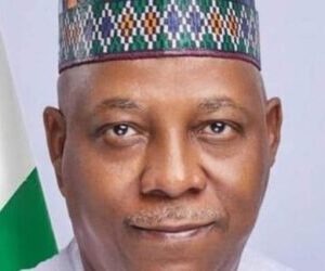 Igbo community bestows chieftaincy title on Shettima