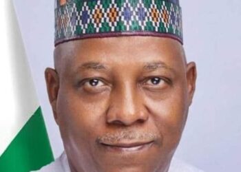 Igbo community bestows chieftaincy title on Shettima