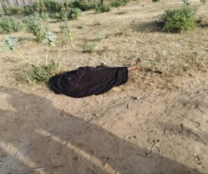 Police arrest APC secretary in connection with d3ath of 45-year-old woman in Yobe