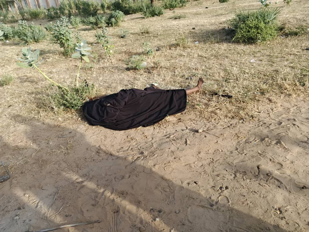 Police arrest APC secretary in connection with d3ath of 45-year-old woman in Yobe