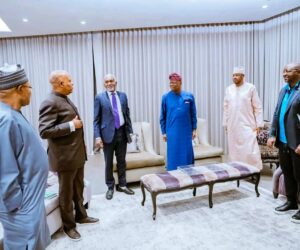 Gov Radda joins VP Shettima at G20 Summit in South Africa