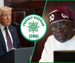 Southern Leaders React as North Rejects Trump’s Threat Over Sharia Laws in Nigeria, FG Speaks Again