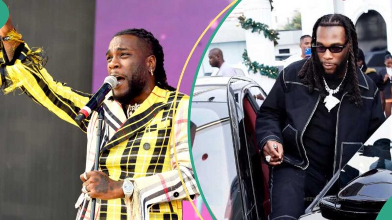 Burna Boy Accused of ‘Damage Control’ After Pausing L.A. Show to Show Support for Nigeria, Sudan