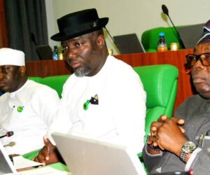 Reps begin probe of failed $460m Abuja CCTV project amid rising insecurity