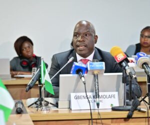 Nigeria's Energy Chief to Speak at Pan-African Parliament 2025 Session in South Africa