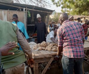 Adamawa sanitation officials clamp down on defaulters amid poor compliance