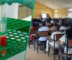 Drama as KWASUED Orders Students To Undergo Mandatory NDLEA Drug Test Or Lose Admission