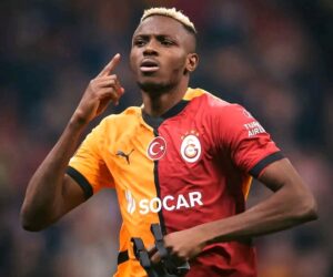 UCL: Osimhen will bring any team to its knees – Ryan Babel warns Ajax