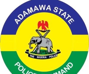 Adamawa Police Arrest Two Officers for Shooting at Vehicle During Checkpoint Stop