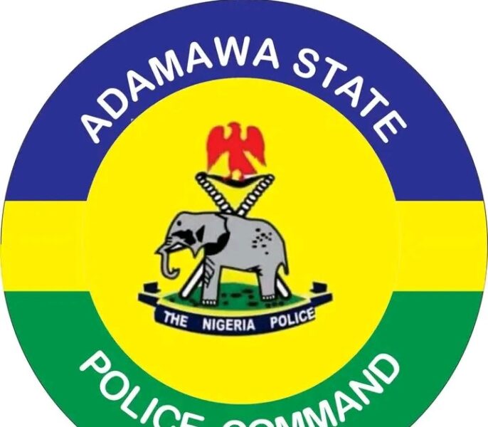 Adamawa Police Arrest Two Officers for Shooting at Vehicle During Checkpoint Stop