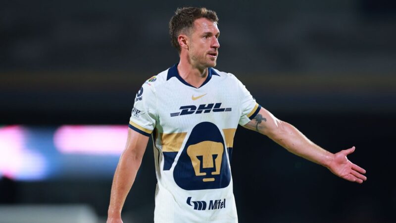 Ex-Arsenal star Ramsey can’t ‘move on’ from disappearance of dog