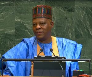 VP Shettima calls for united front against insecurity