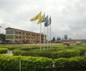 Panic as school unveils new WASSCE subject offerings for students in SS3