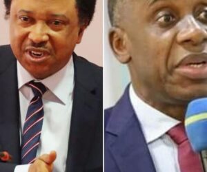 Amaechi, Shehu Sani clash over Tinubu’s administration