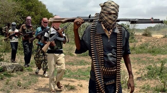 ISWAP claims Borno ambush, says it killed brigadier general despite army denial