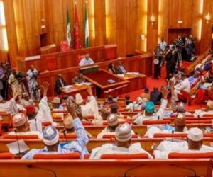 Senate Seeks Recruitment Of 100,000 Troops, Probe Of Safe School Funds
