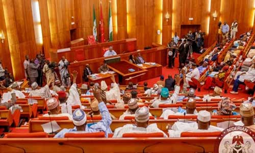 Senate Seeks Recruitment Of 100,000 Troops, Probe Of Safe School Funds