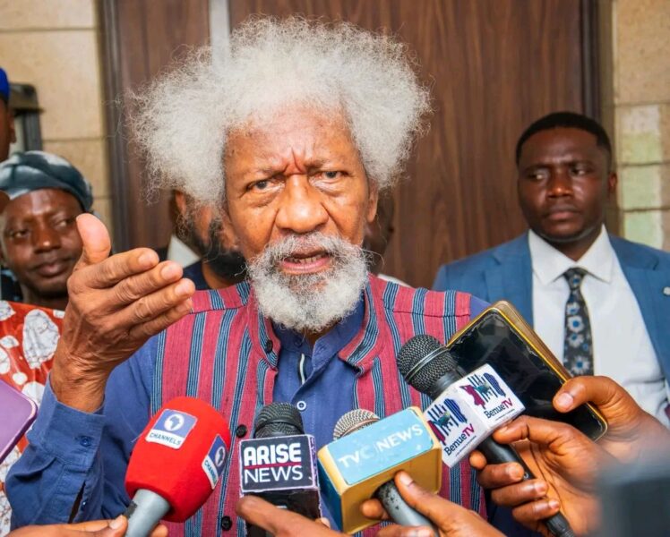 Foreign Intervention May Worsen Nigeria’s Insecurity – Soyinka