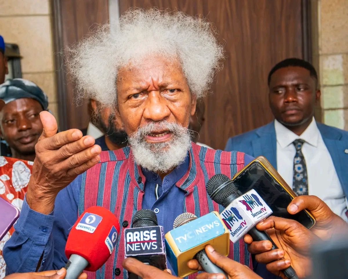 Foreign Intervention May Worsen Nigeria’s Insecurity – Soyinka
