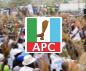 Rising Insecurity: Nigeria Will Not Collapse, Says Lagos APC