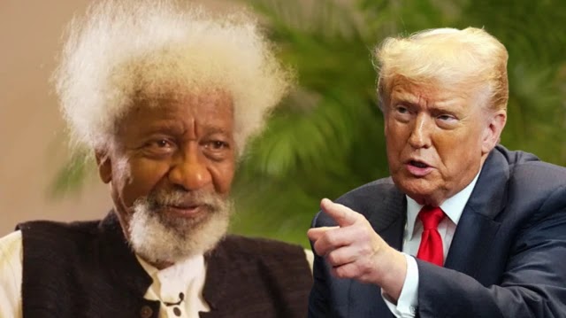 “Is his head correct?” — Soyinka blasts Trump’s threat of military action in Nigeria