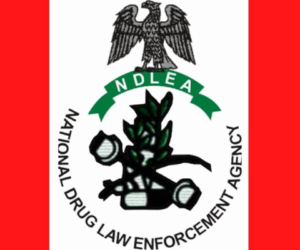 NDLEA busts illicit drug warehouse, recovers N6.7bn opioids, arrests baron, 5 others