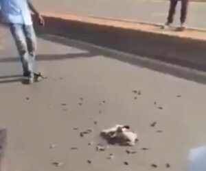 Panic at ABU Zaria gate as ammunition falls from moving passenger bus