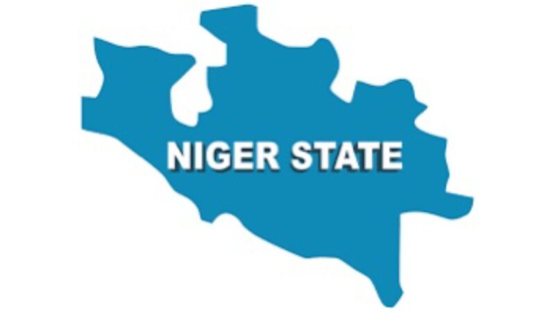 Terrorists kidnap 4 pregnant women, 16 others in Niger