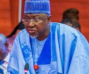 ‘We know the bandits and what they want’ — Kebbi senator says FG must choose to fight or negotiate