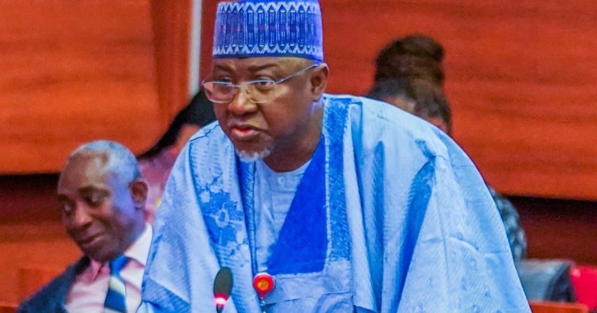 ‘We know the bandits and what they want’ — Kebbi senator says FG must choose to fight or negotiate