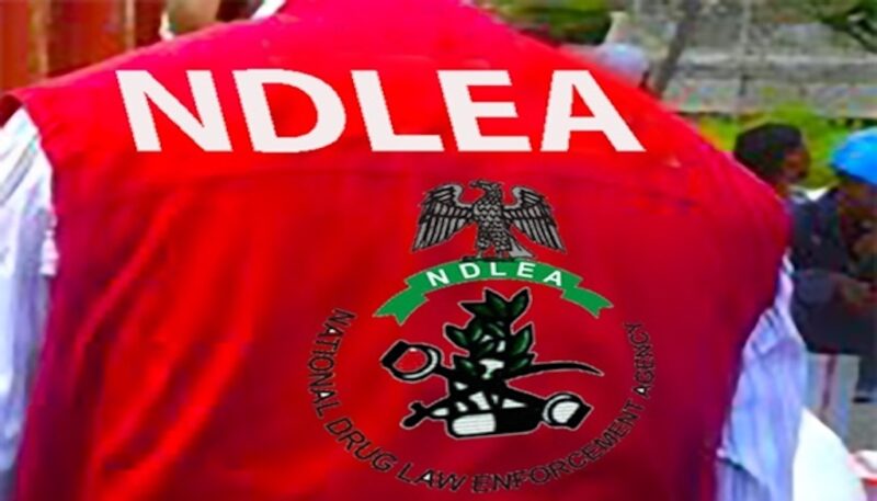 NDLEA uncovers illicit drugs packaged as Christmas cookies, arrests distributors