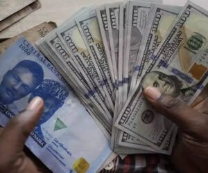 Naira to Dollar rate today, Monday, November 10, as naira trades steady