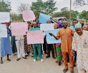 Farmers Protest as Gunmen Ravage Farmlands in Ondo