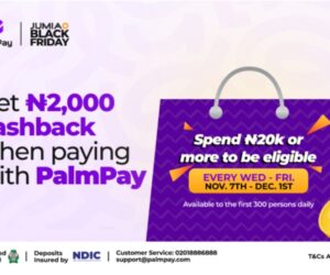 Don’t Just Shop This Black Friday, Get Rewarded with PalmPay & Jumia!