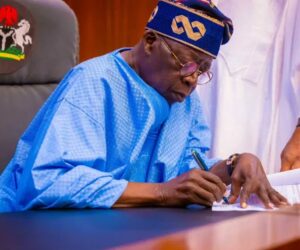 FG Borrows N17.36tn in 10 Months, Exceeds 2025 Target by 55.6%