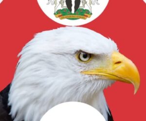 N4.6bn Arms Fraud: EFCC Witness Says ONSA Funds Went to PDP Rallies, Hajj, 2015 Elections