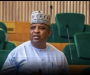 Terrorists Have Taken Over Kainji Park – Niger Rep Member Laments After Escaping Assassination