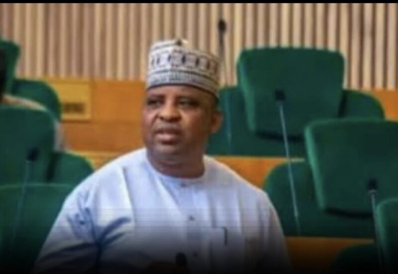 Terrorists Have Taken Over Kainji Park – Niger Rep Member Laments After Escaping Assassination